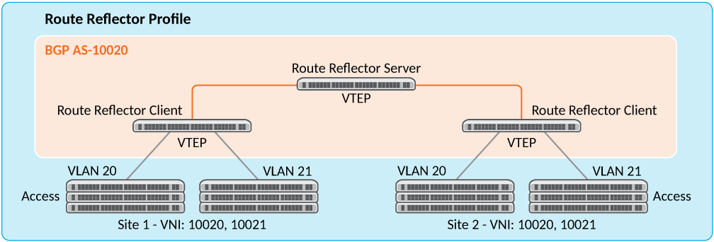 Route Reflector Server-Client Profile